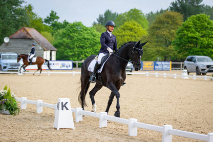 Fencing for Sports Facilities | Safety and Performance without Compromise