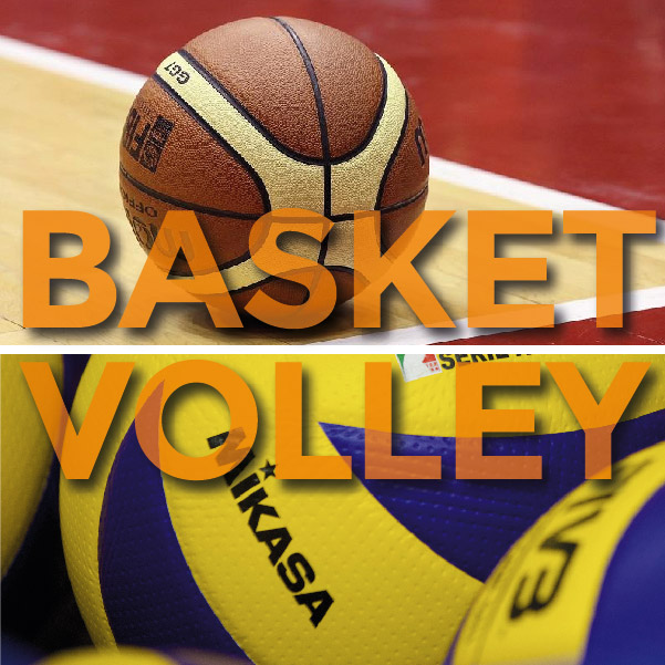 basket-volley-home